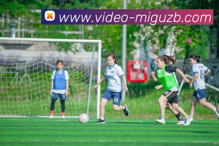 五大联赛的幕后英雄走进球场志愿者聆听他们与足球的温情故事